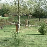 Európa Gunaras Szálloda